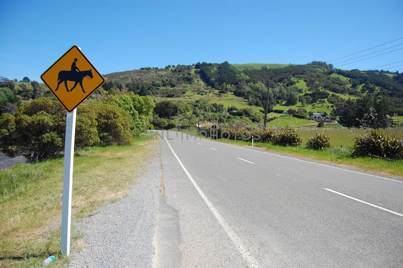 Yellow road sign horseriding New Zealand by danemo