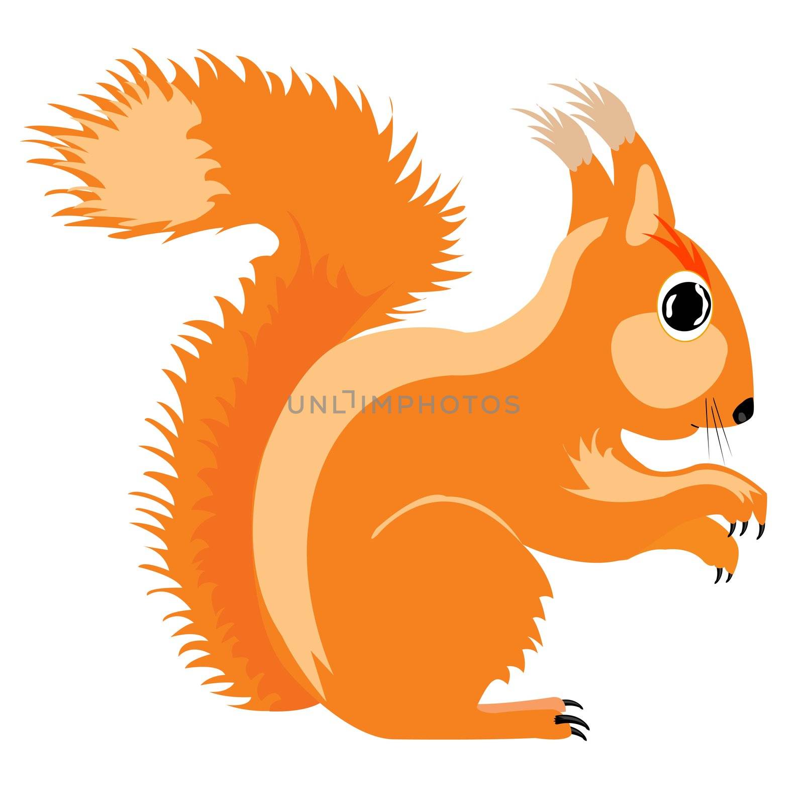 Illustration of the squirrel by cobol1964