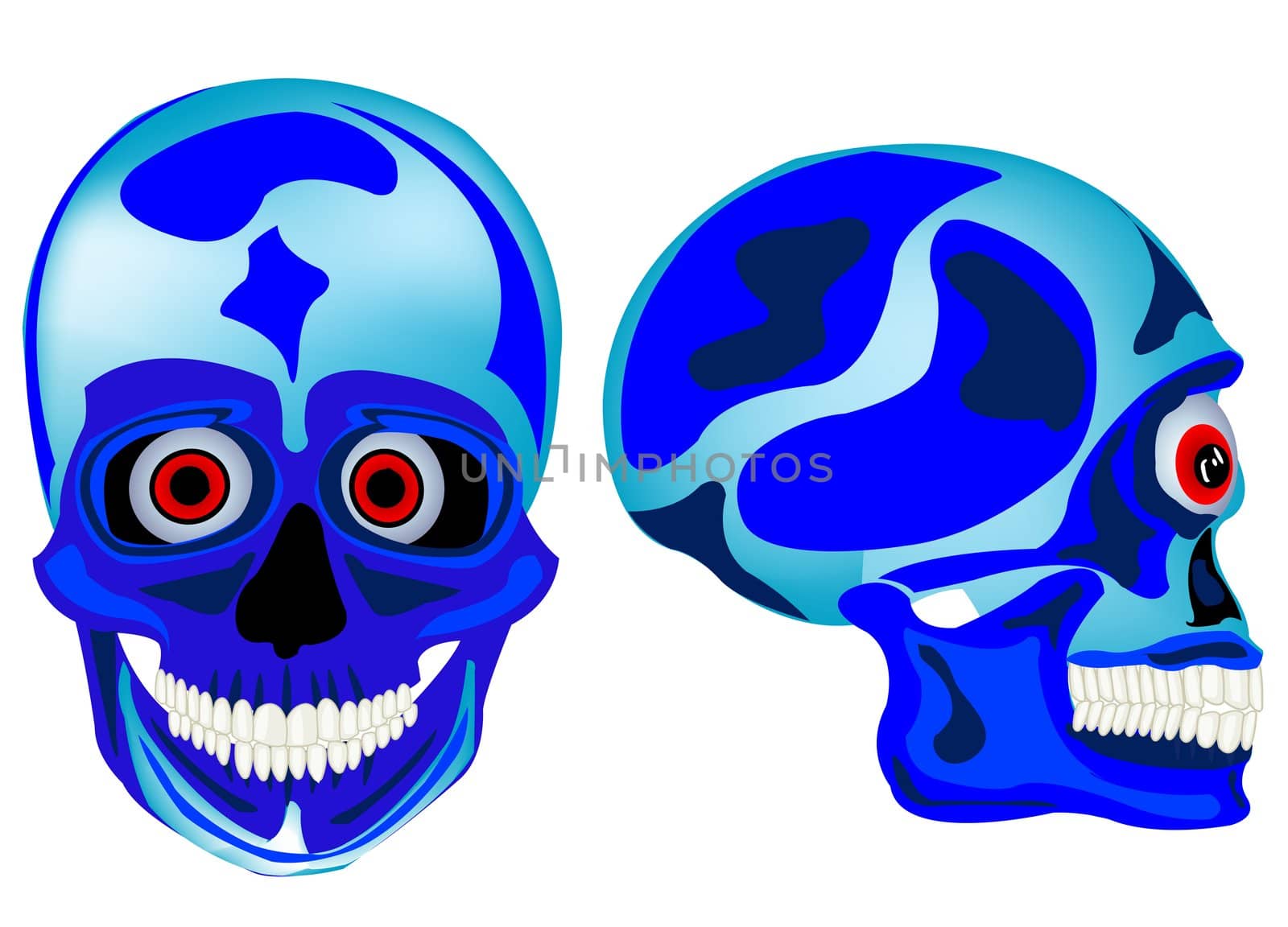 Cartoon skull of the person in front and profile on white background