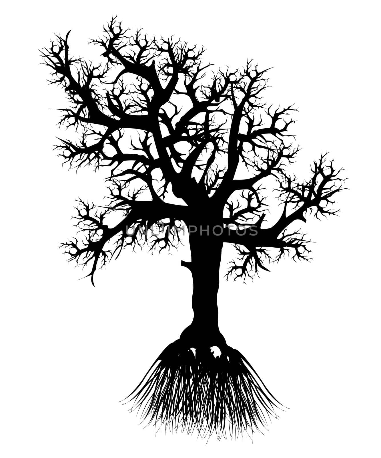 Silhouette tree with root on white background is insulated