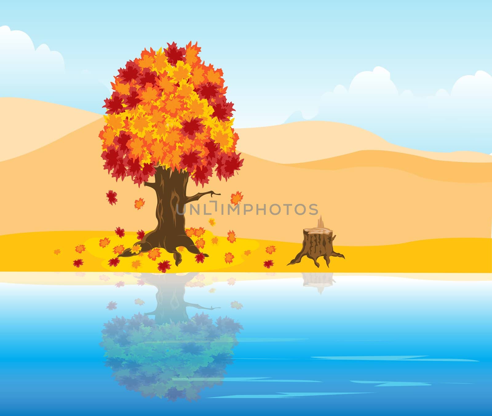 The Autumn landscape.Tree is reflected in clean water