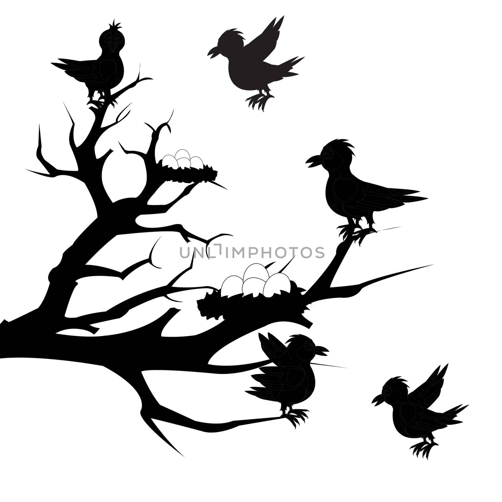 Black blanching illustration of the birds and jack with egg