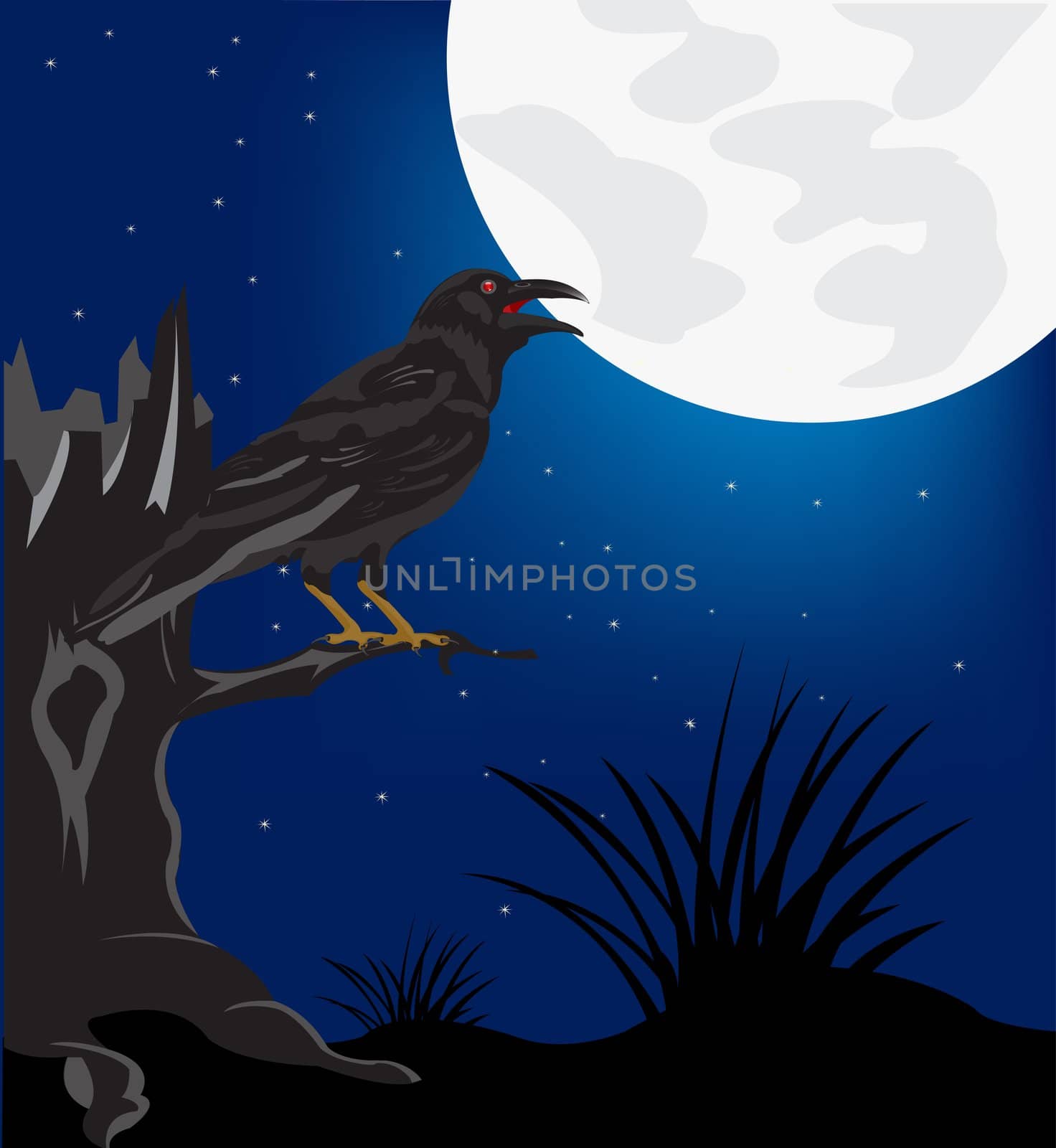Black raven sitting on tree in the night