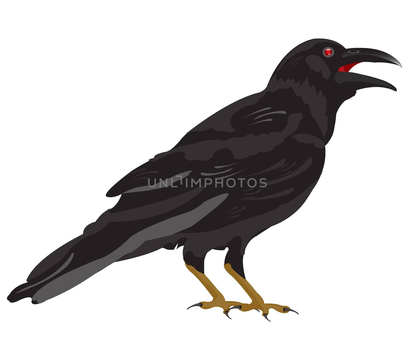 Black raven by cobol1964