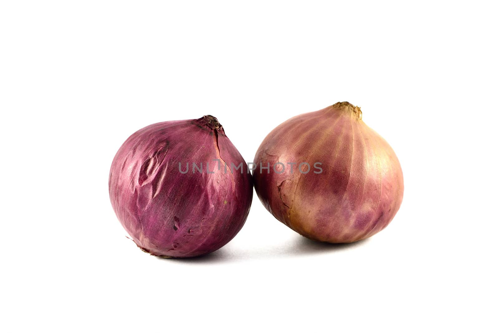 a pair of onions