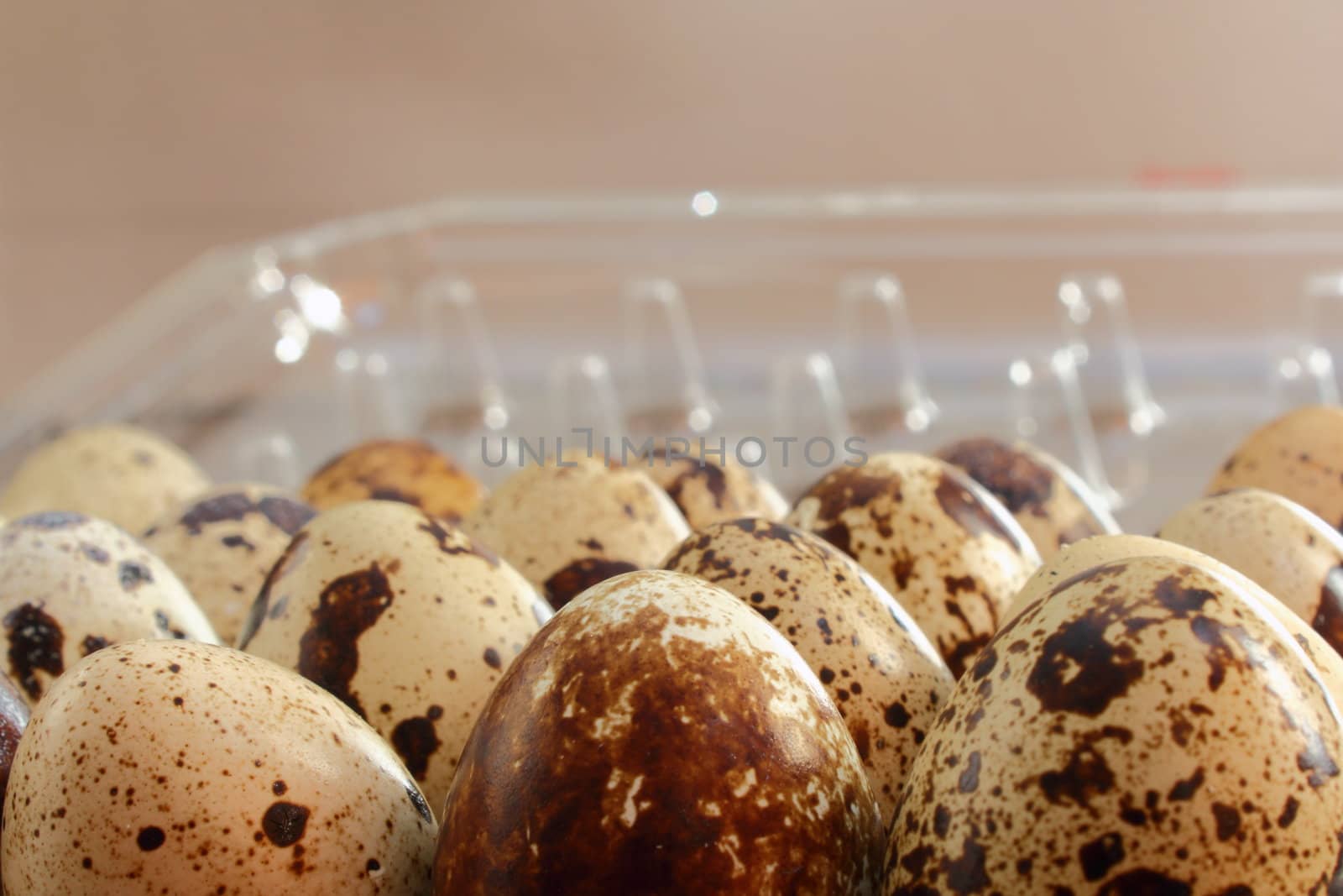 organic food - quail eggs for dieting