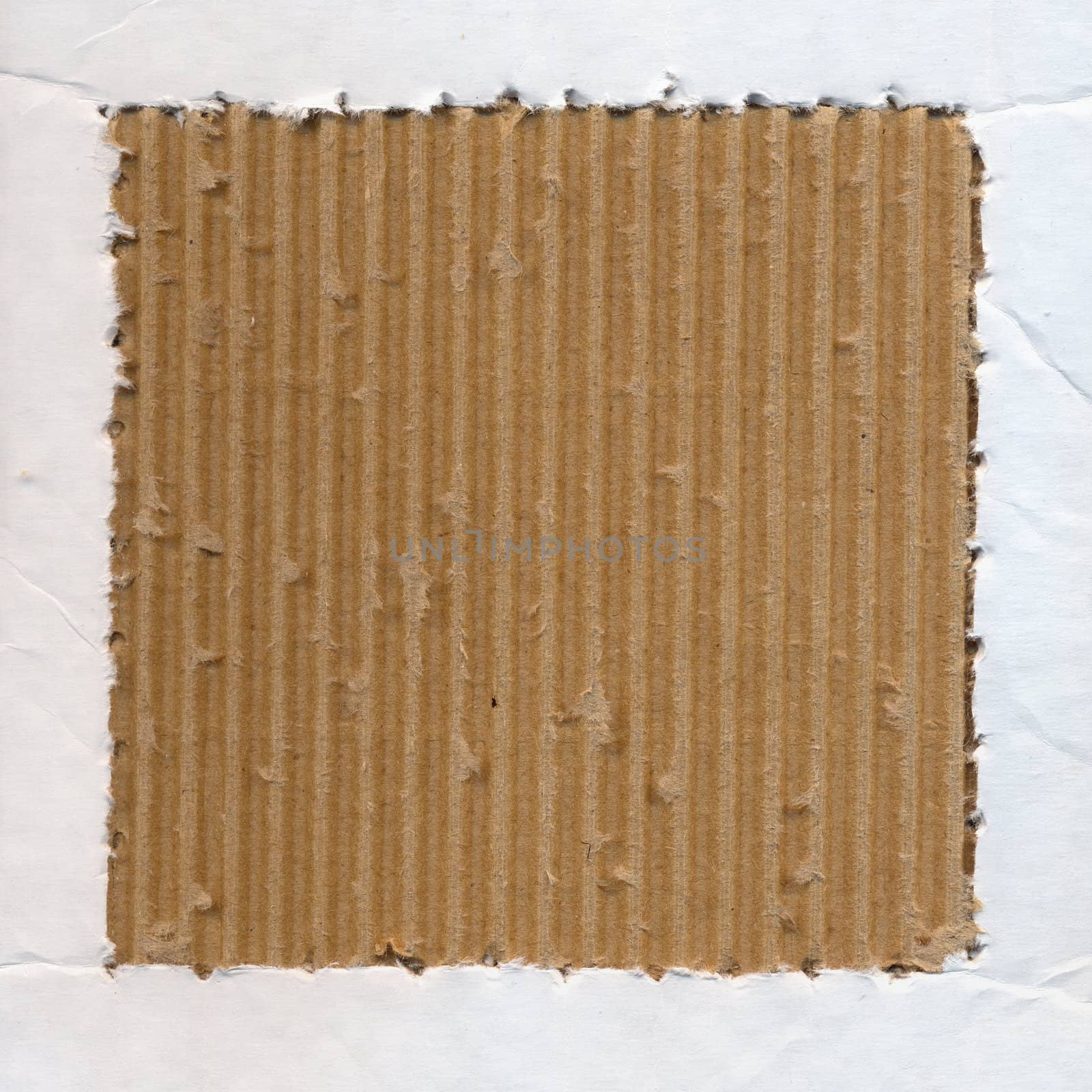 Cardboard blank paper frame background. Grunge design element.