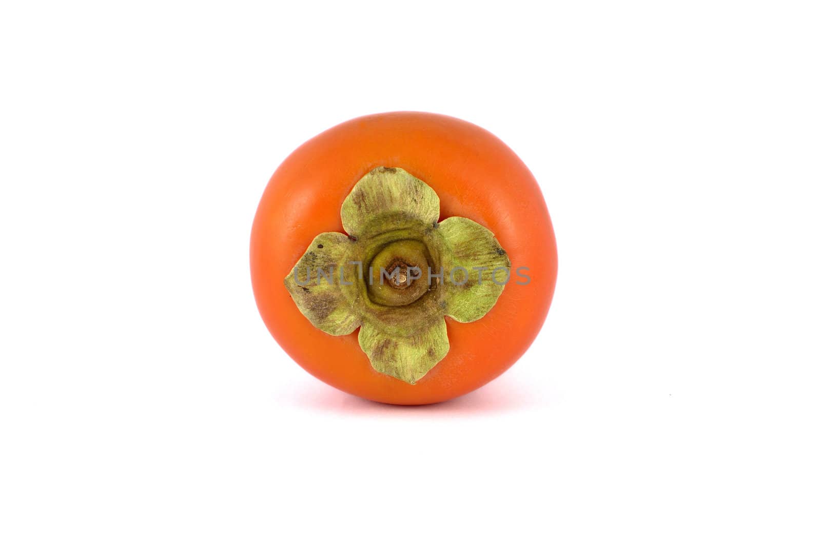 top view of persimmon