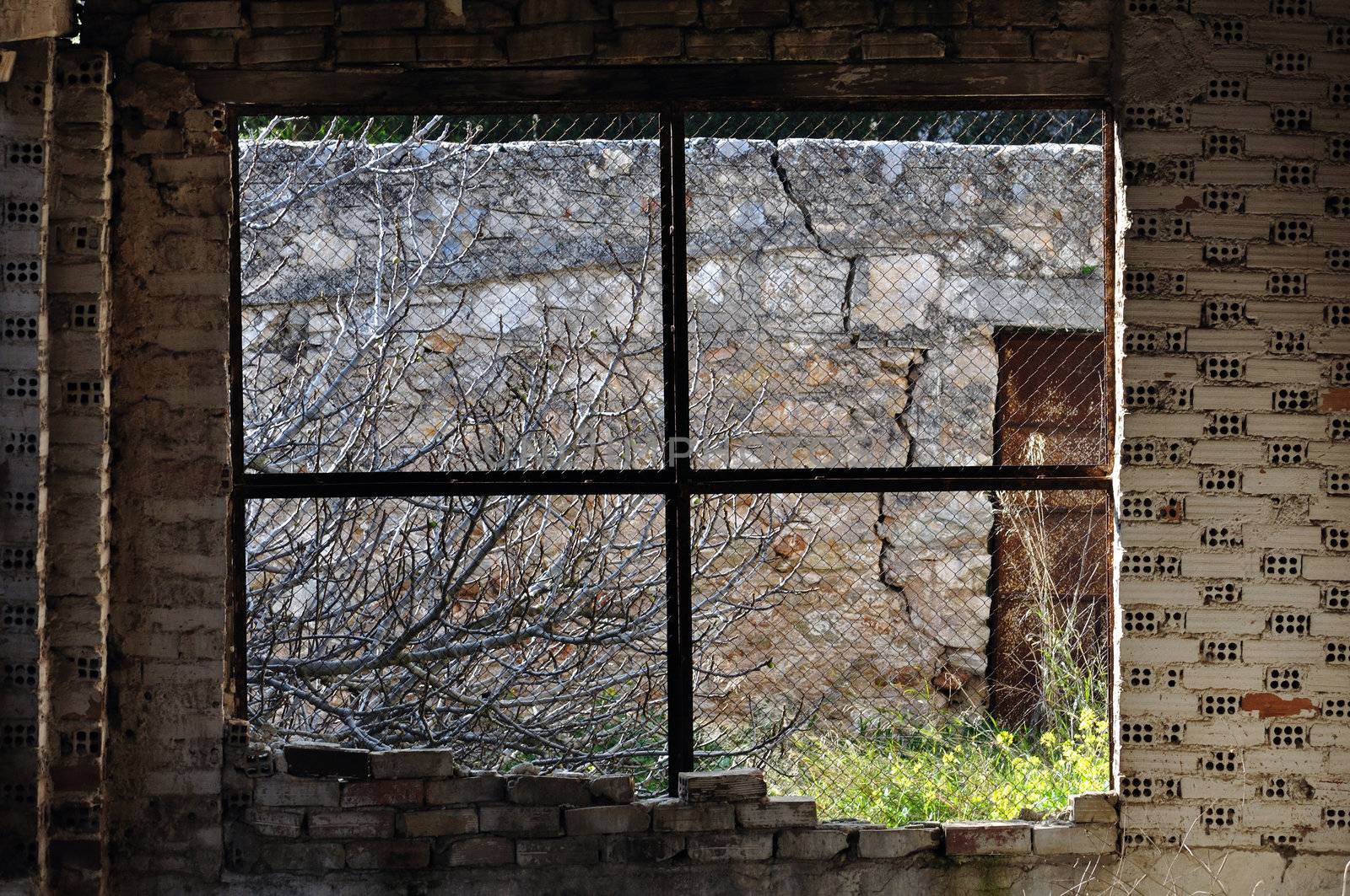 View to overgrown garden through threaded window. Abandoned interior.