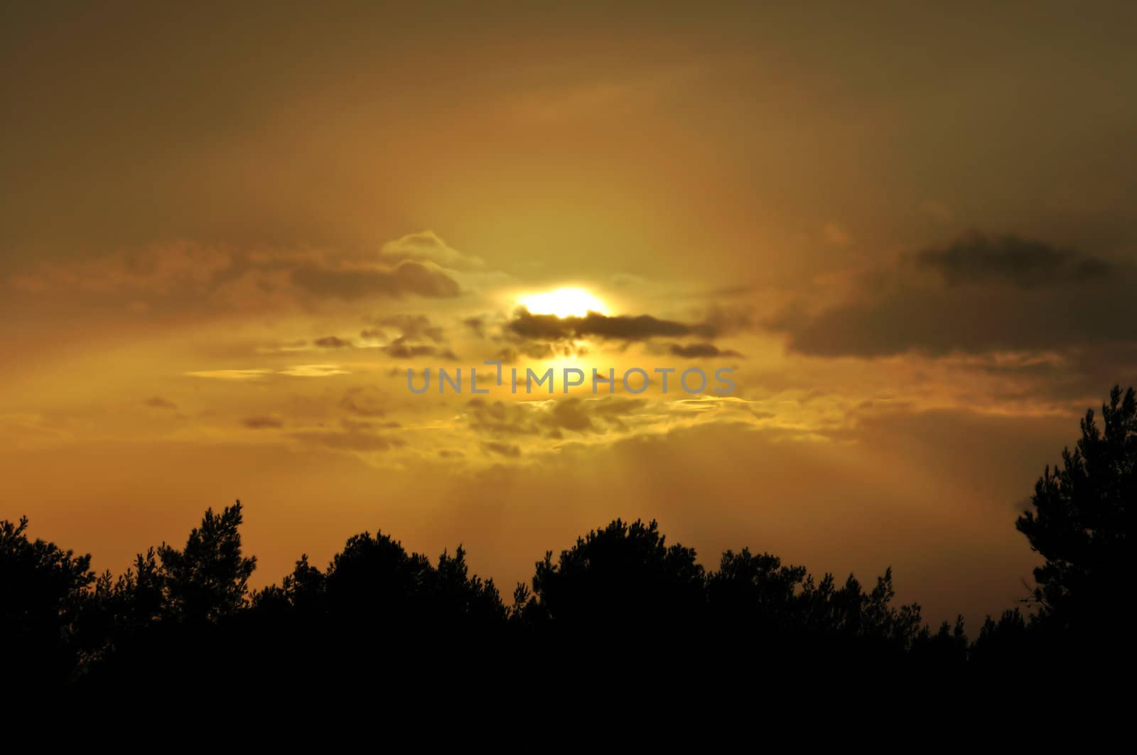 Evening sky behind clouds. Orange sunset and tree silhouettes.