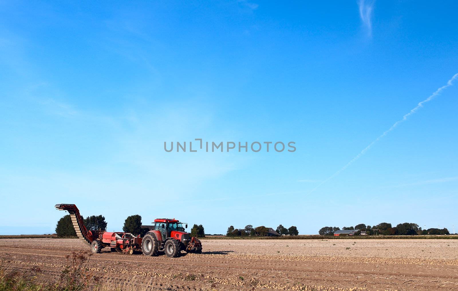 potato harvesting on summer field by catolla