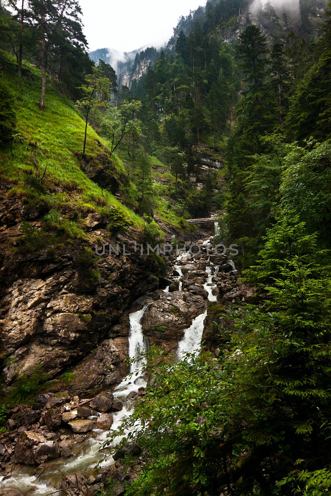 alpine river in Bavaria by catolla