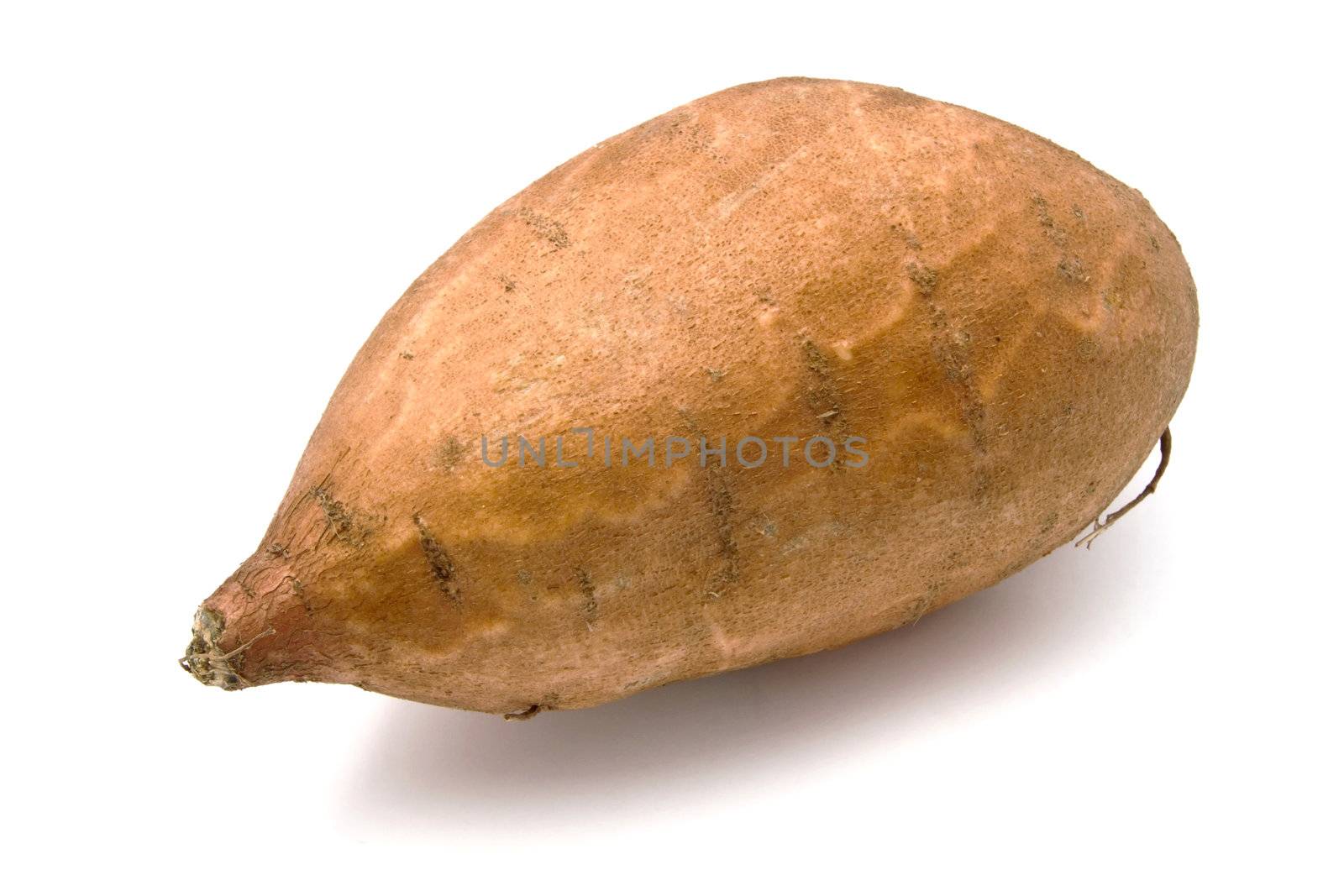 Sweet Potato closeup on white background