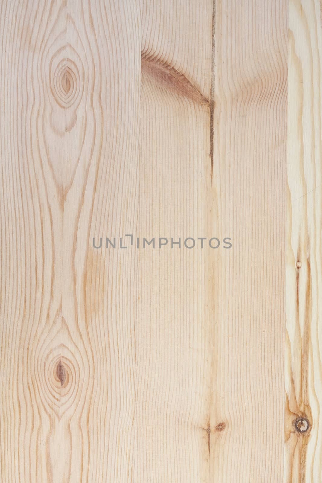 Background of wood texture closeup