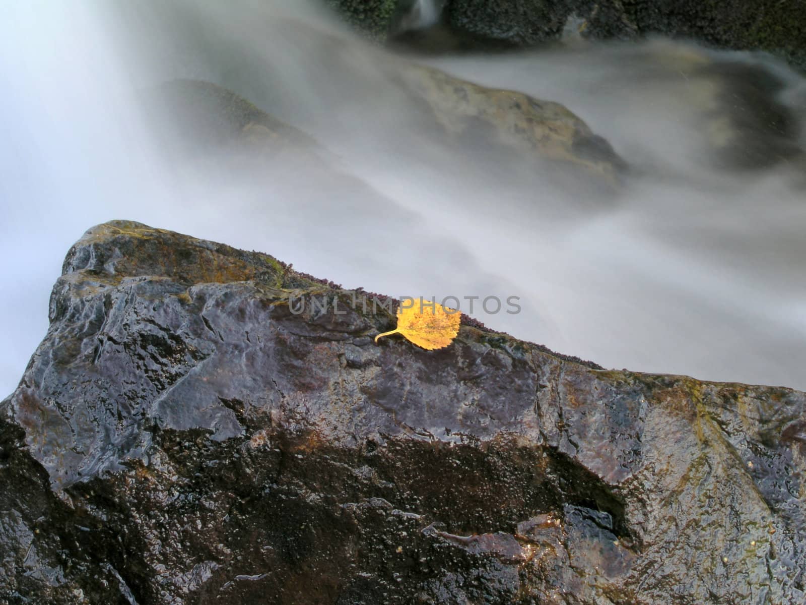 Beautiful flowing water of mountain stream