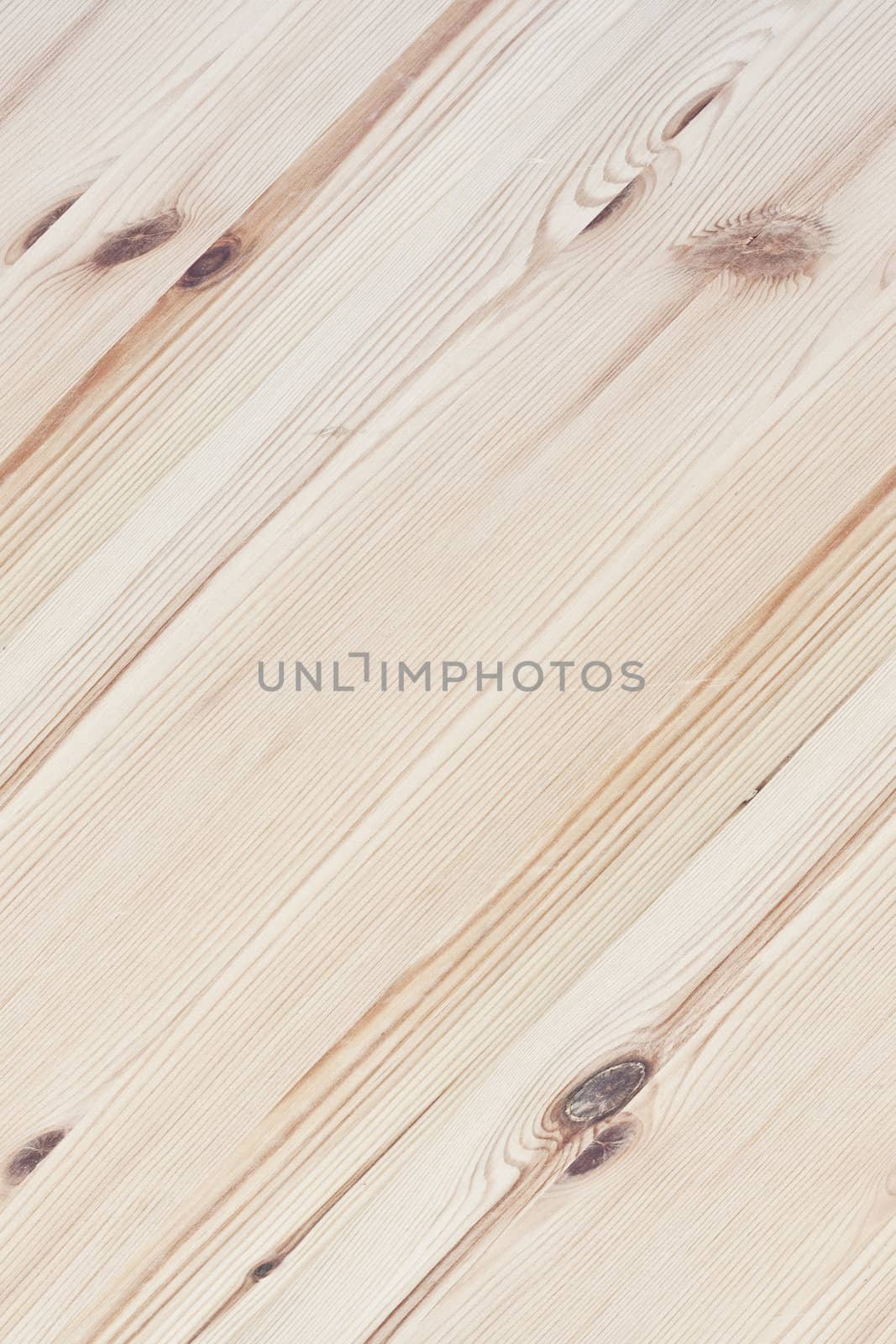 Texture of wood background closeup 