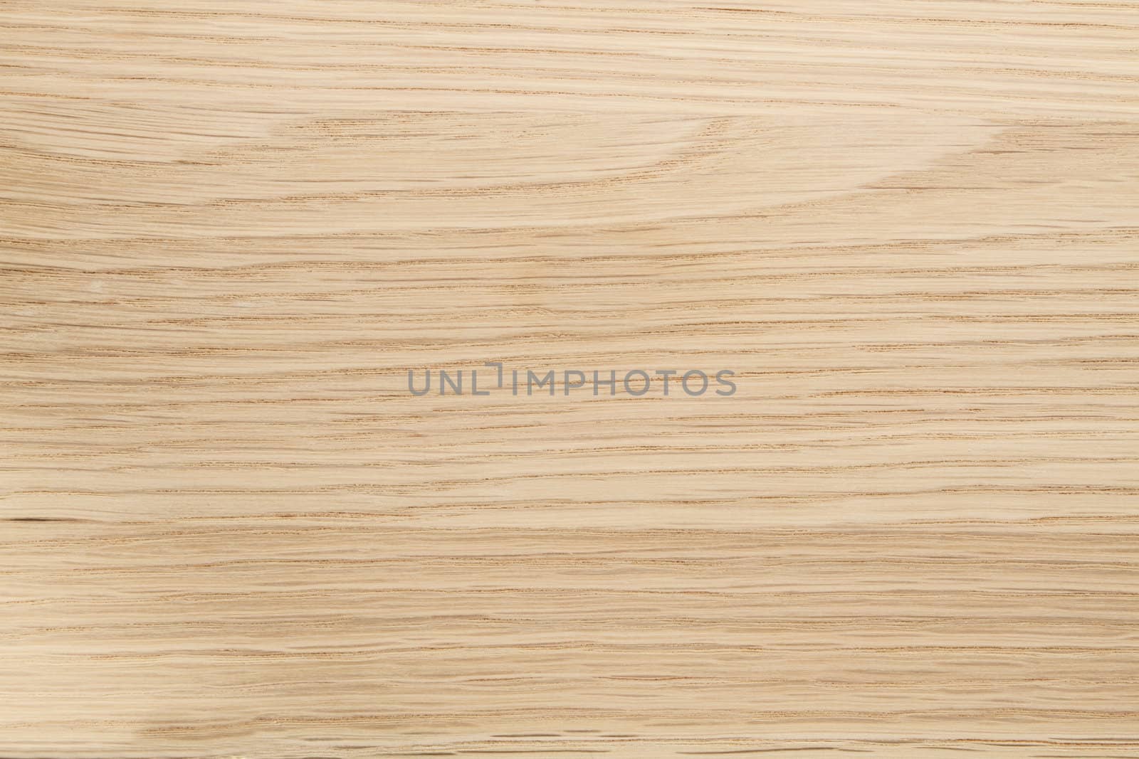 Texture of wood background closeup 
