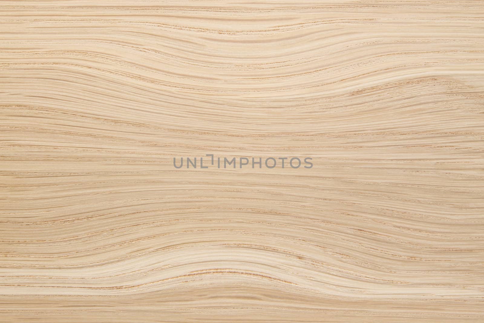 Wood Texture Background