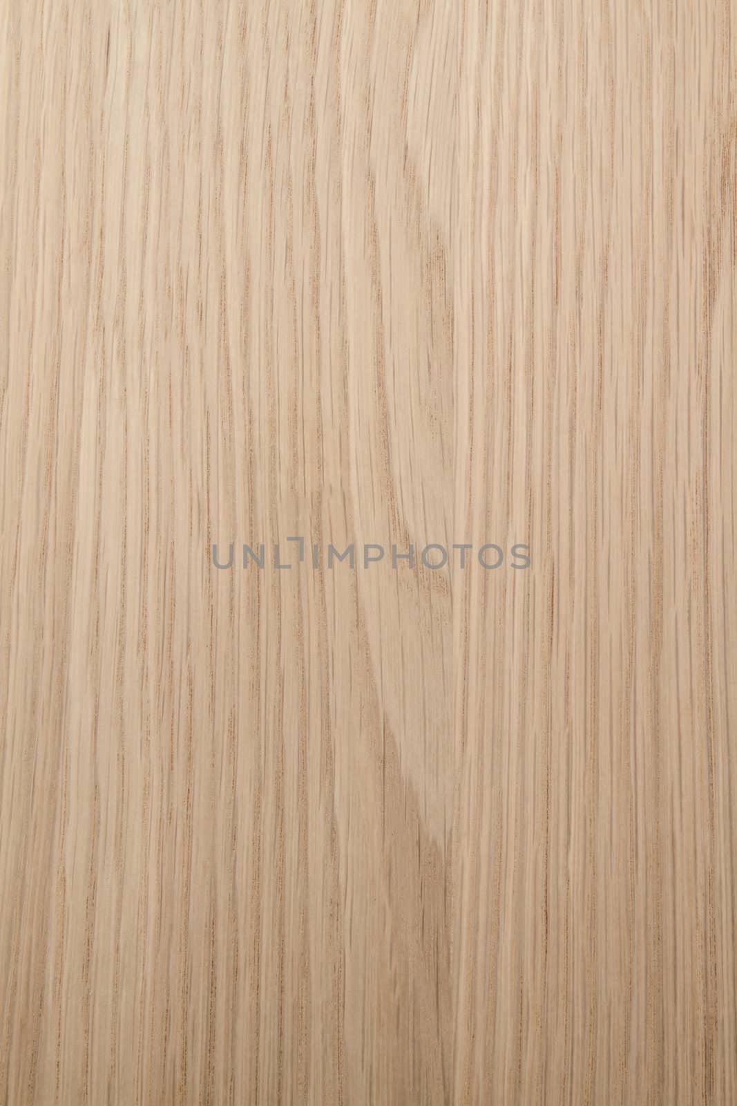 Wood Texture Background