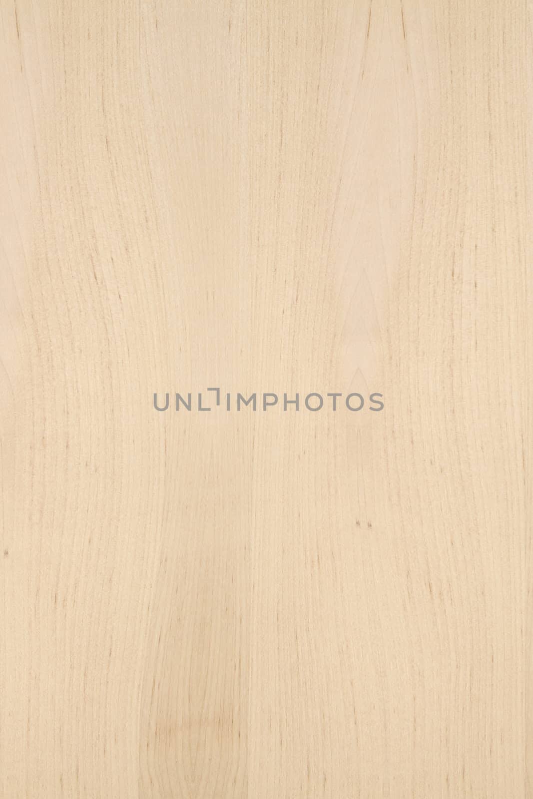 Bbackground of wood texture closeup