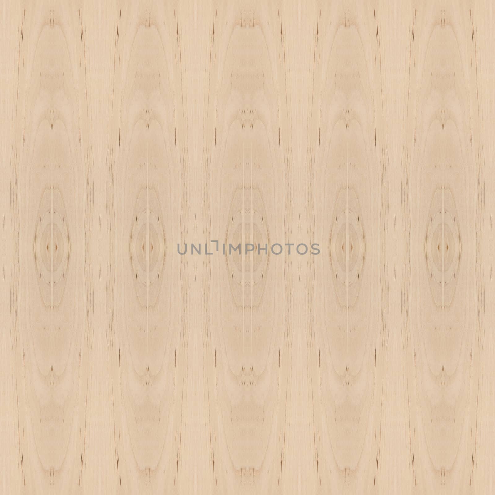 Bbackground of wood texture closeup