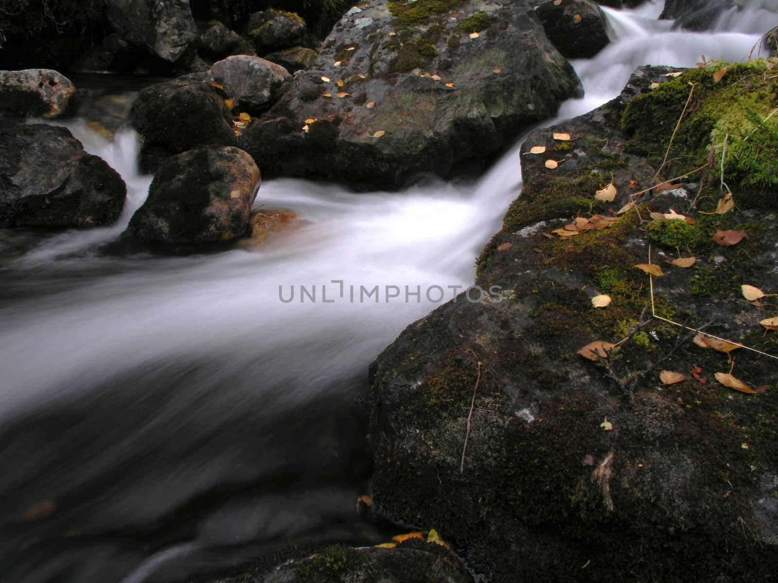 Beautiful flowing water of mountain stream