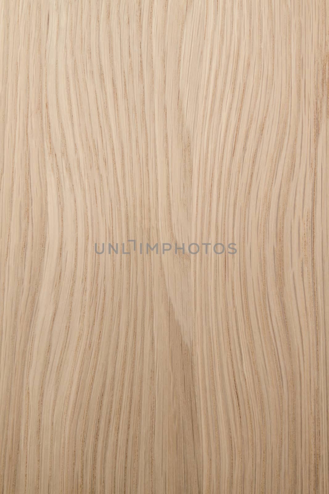 Wood Texture Background