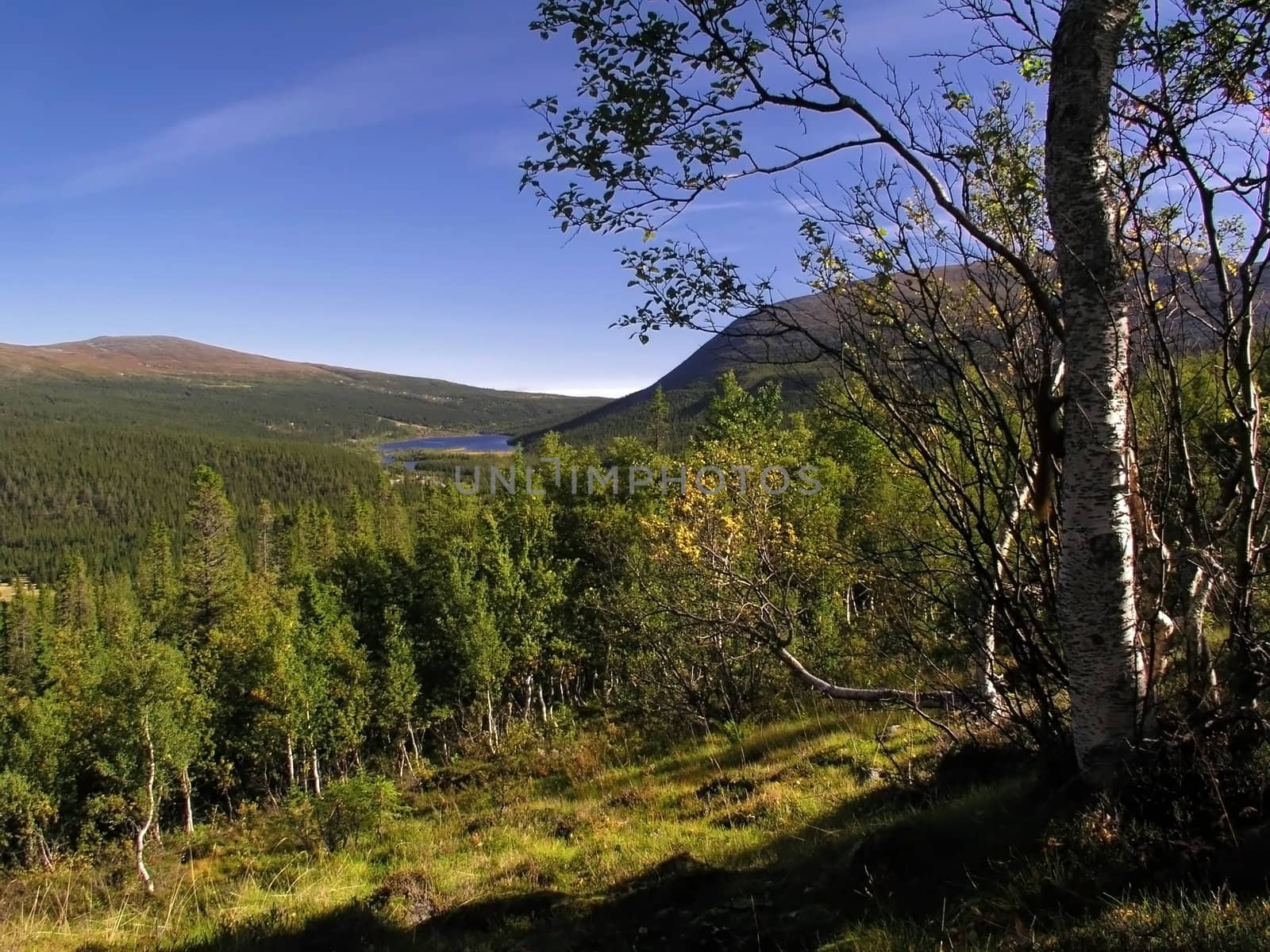 Beautiful landscape of mountains
