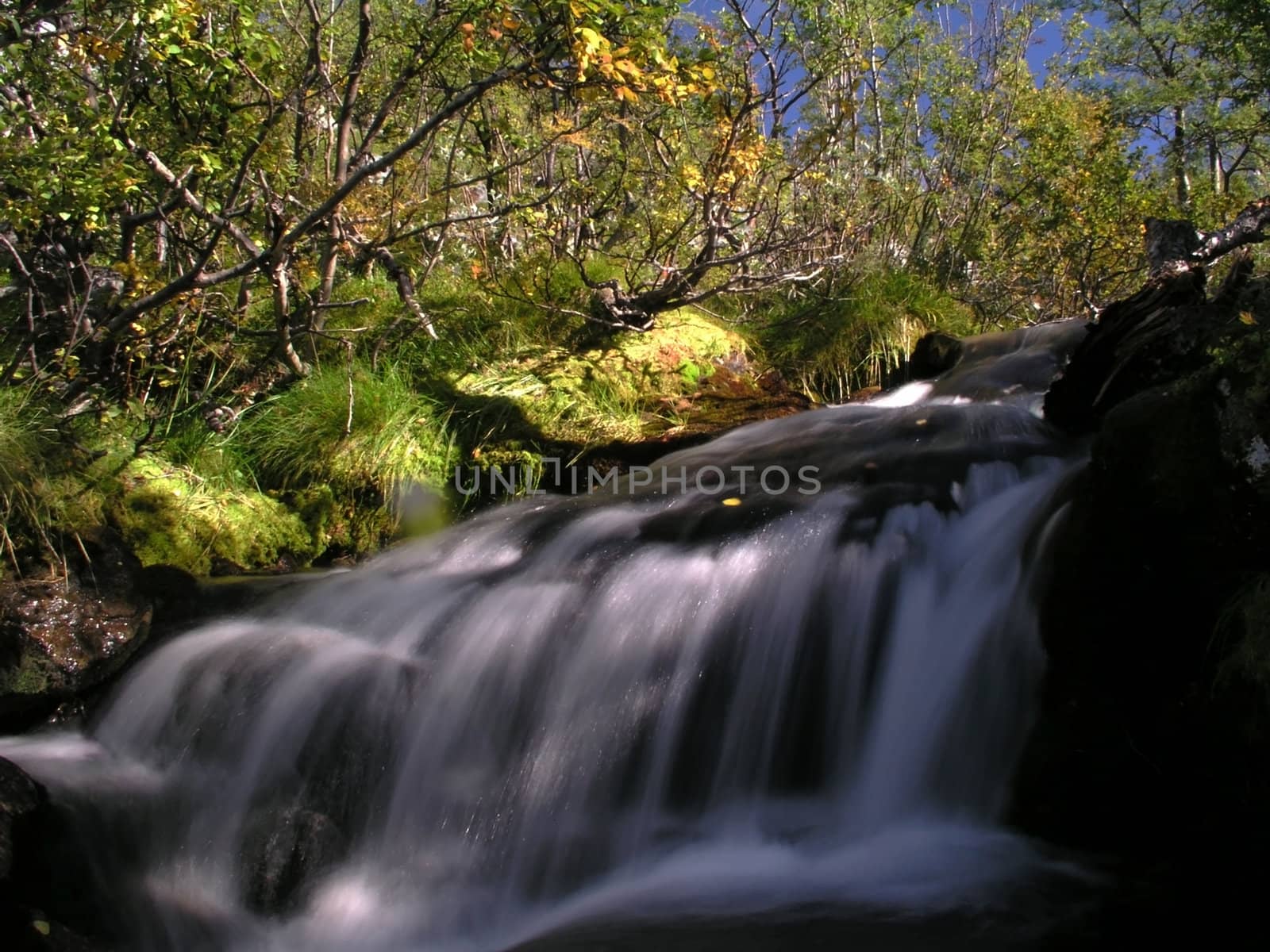 Beautiful landscape of mountain stream