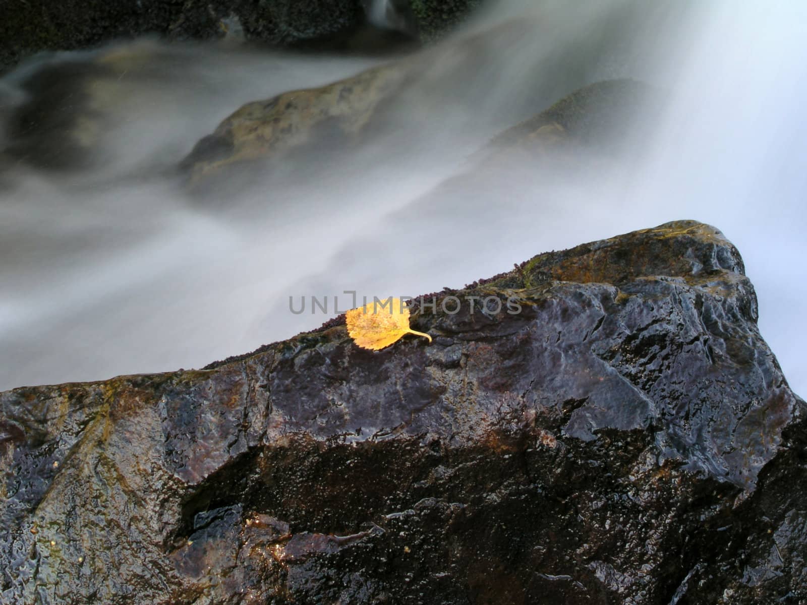 Beautiful flowing water of mountain stream 