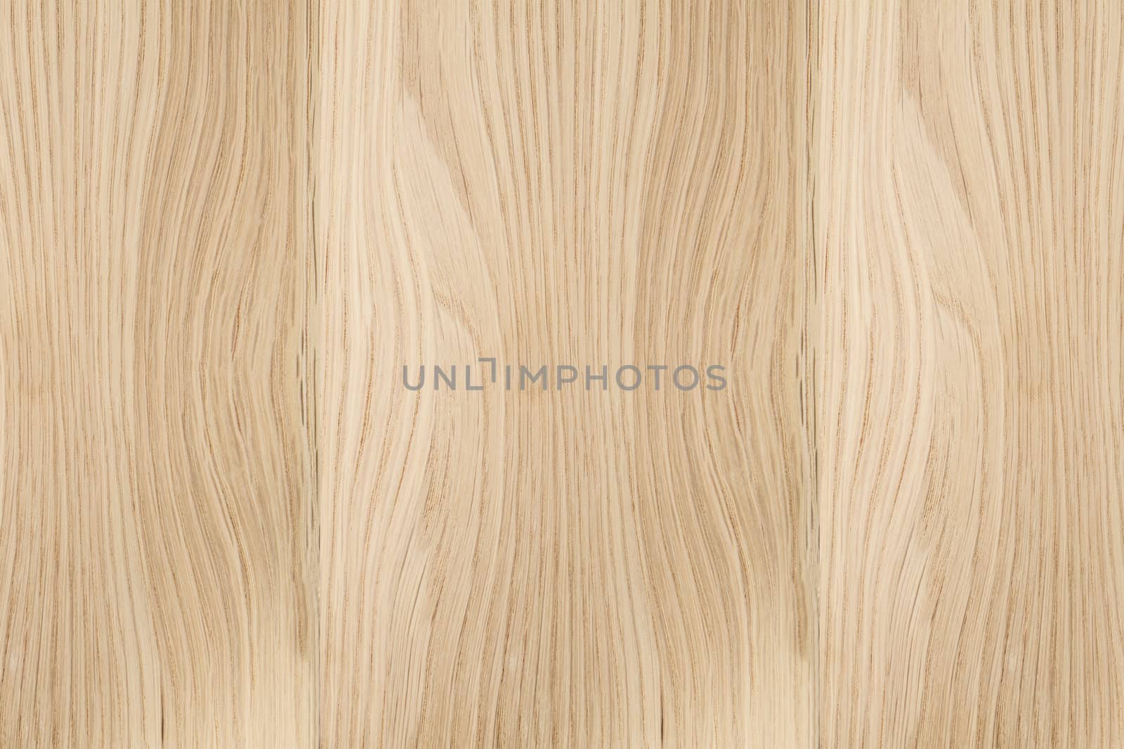 Texture of wood background closeup 