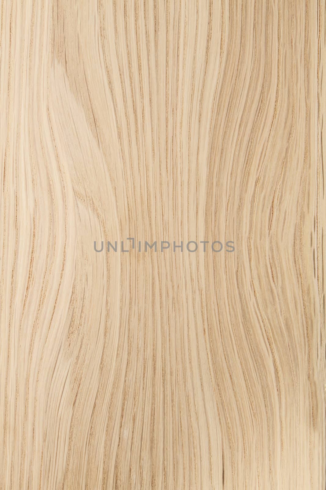 Texture of wood background closeup 