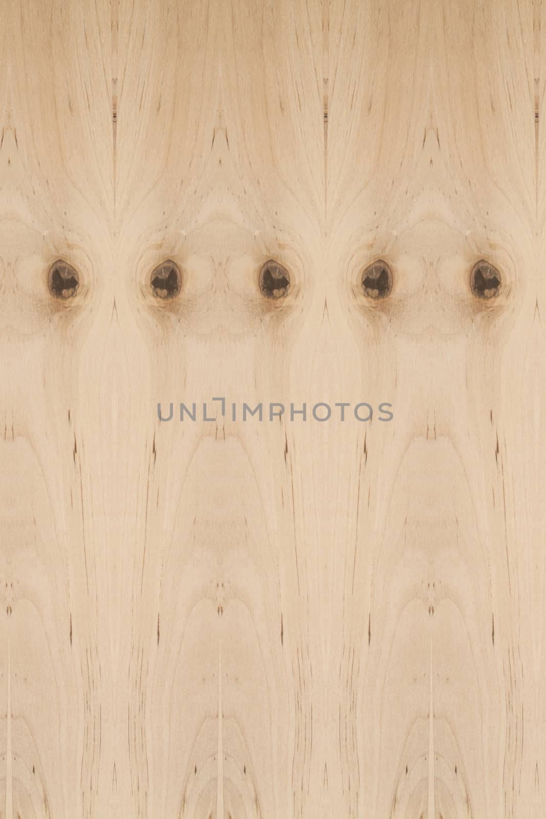Bbackground of wood texture closeup