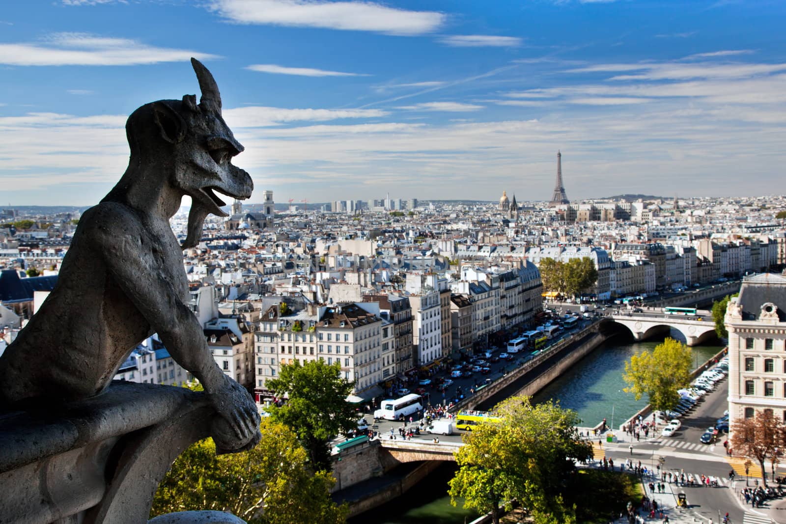 Paris panorama, France. View on Eiffel Tower and Seine river from Notre Dame Cathedral