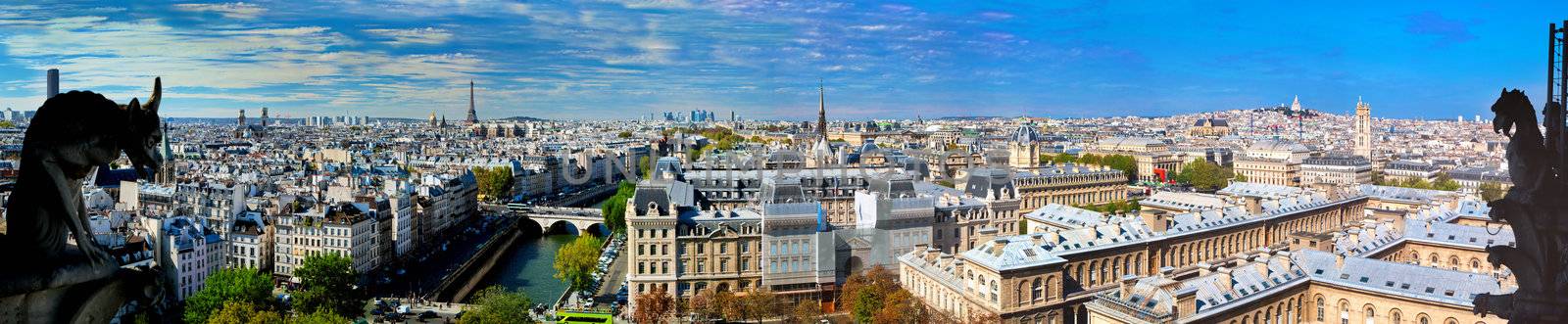 Paris panorama, France. View on Eiffel Tower and Seine river from Notre Dame Cathedral