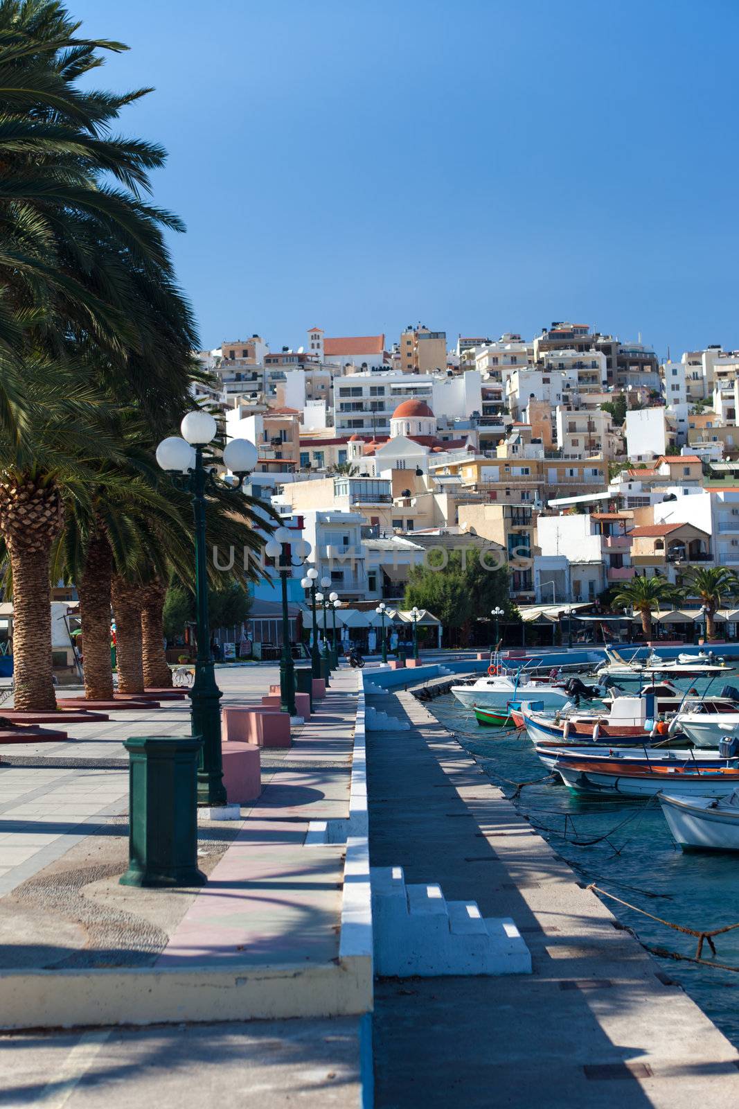 Promenade with palm trees in the town of Sitia on the island of Crete