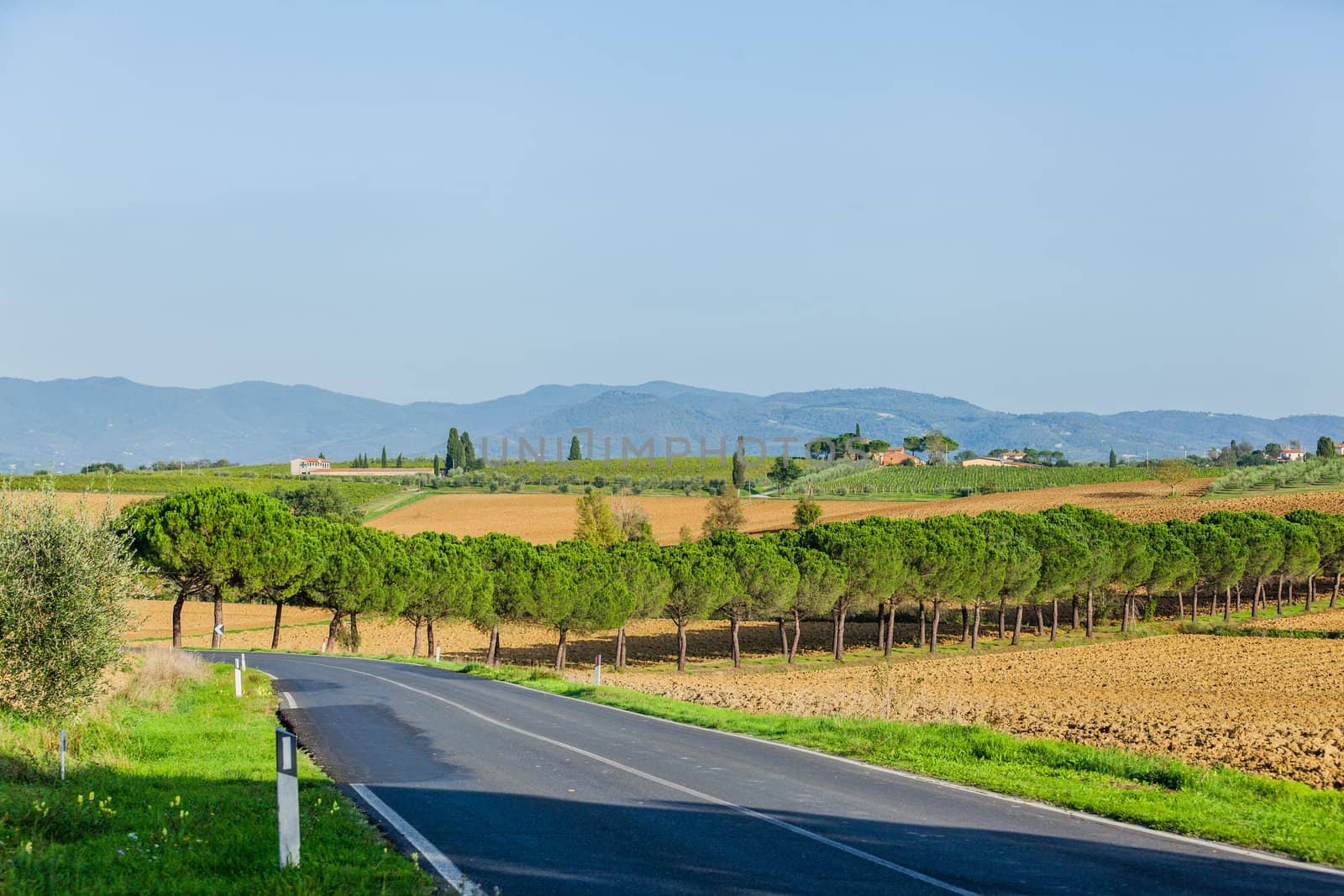 Typical beautiful Tuscan landscape-trees, grass, ski, villa. Italy
