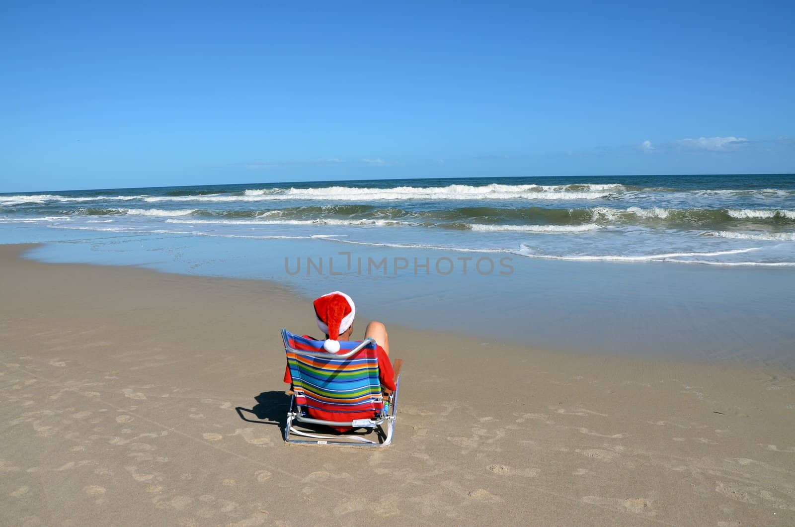 A visitor to the beach at christmas time.