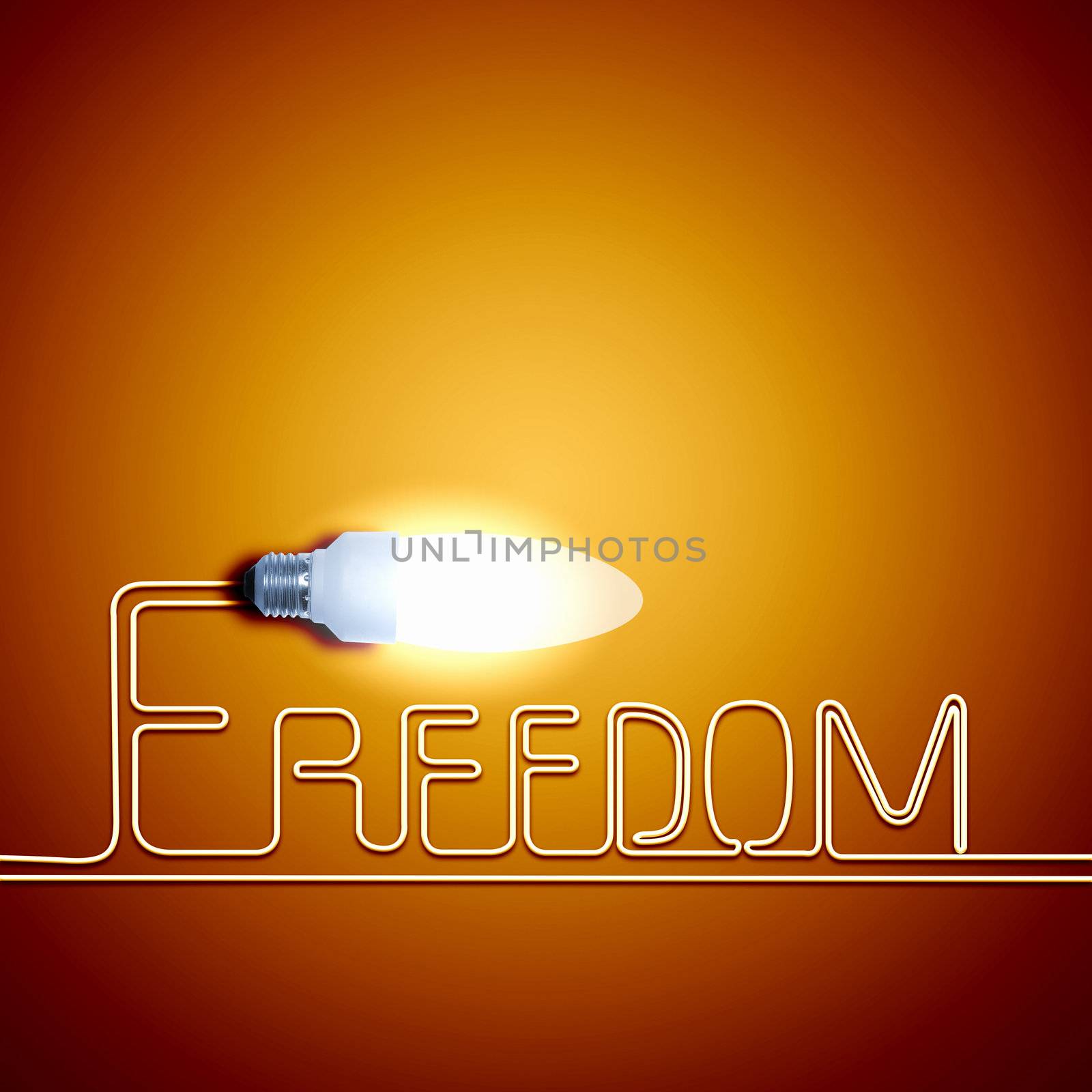 Abstract Light Bulb with the word Freedom on colour background.