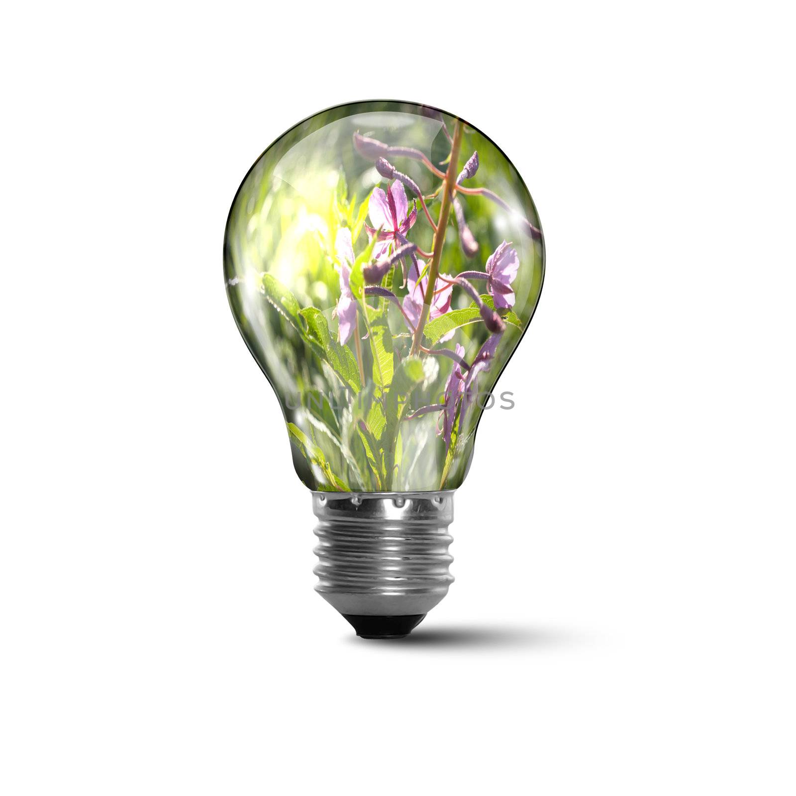 Illustration of an electric light bulb with clean and safe nature inside it Conceptual illustration