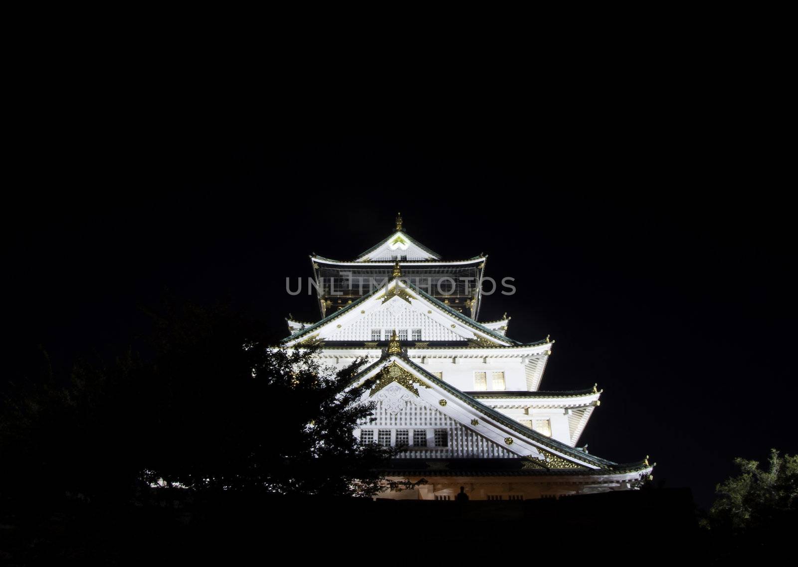 Osaka castle in japan  by siraanamwong