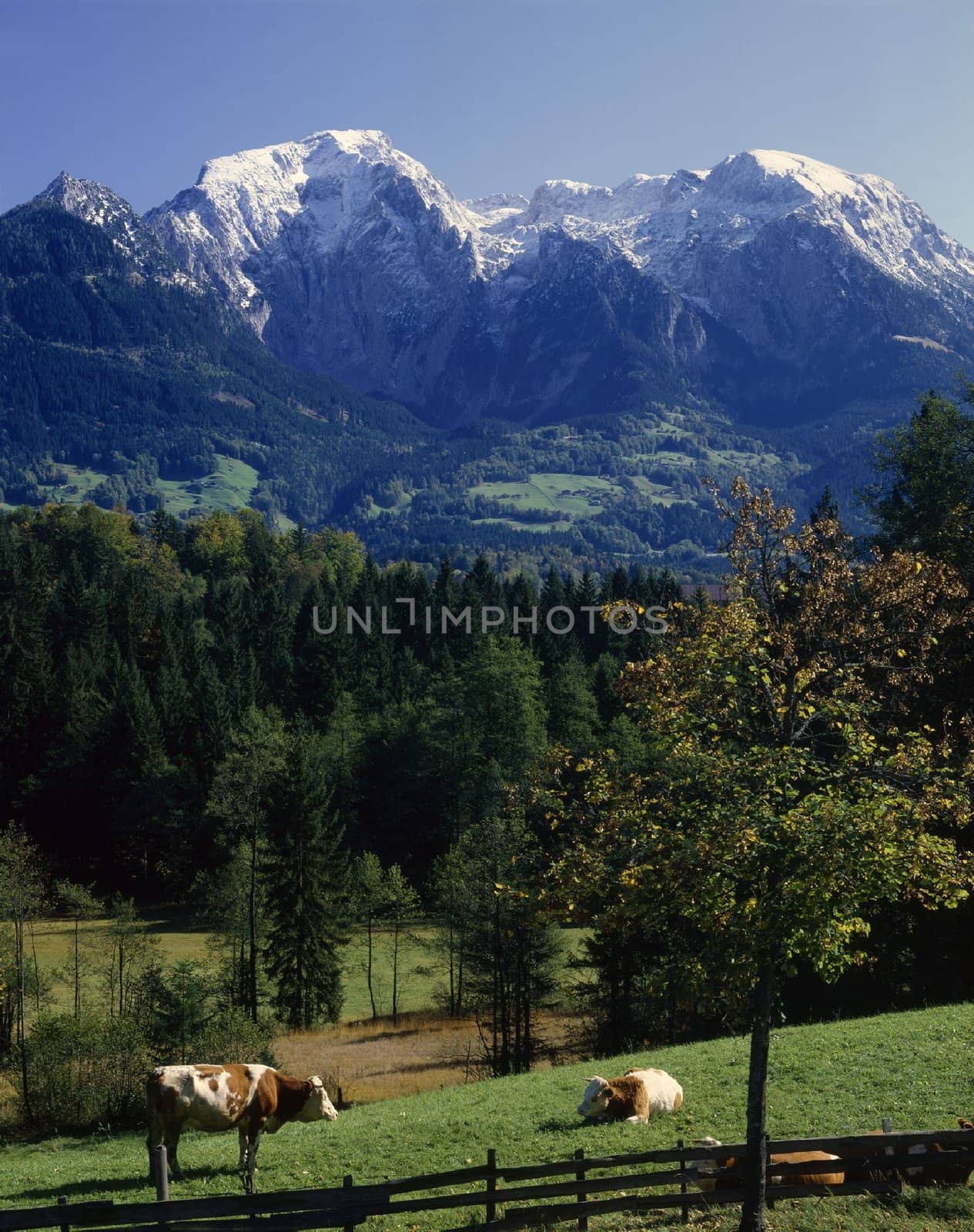 Bavarian Scenery by jol66