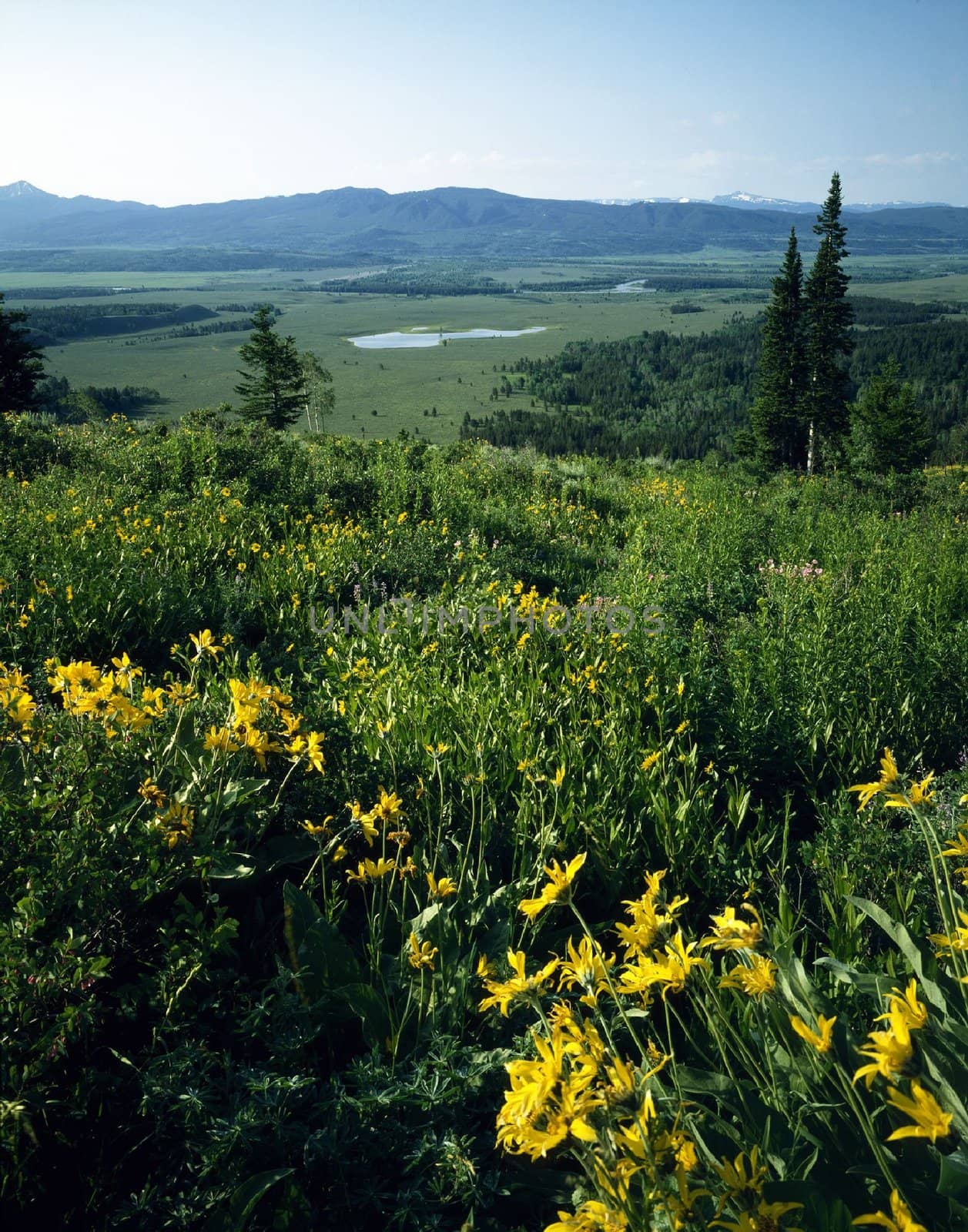 Jackson Hole, Wyoming