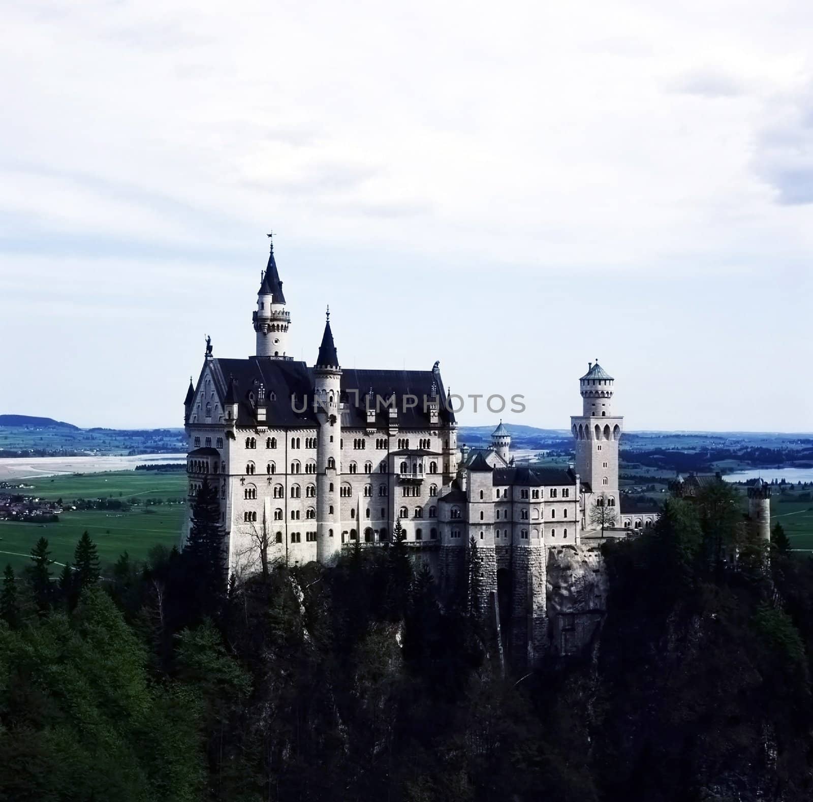 Castle Neuschwanstein, Germany by jol66