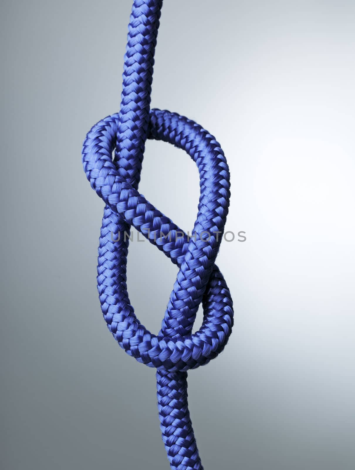 Figure of eight knot by Stocksnapper