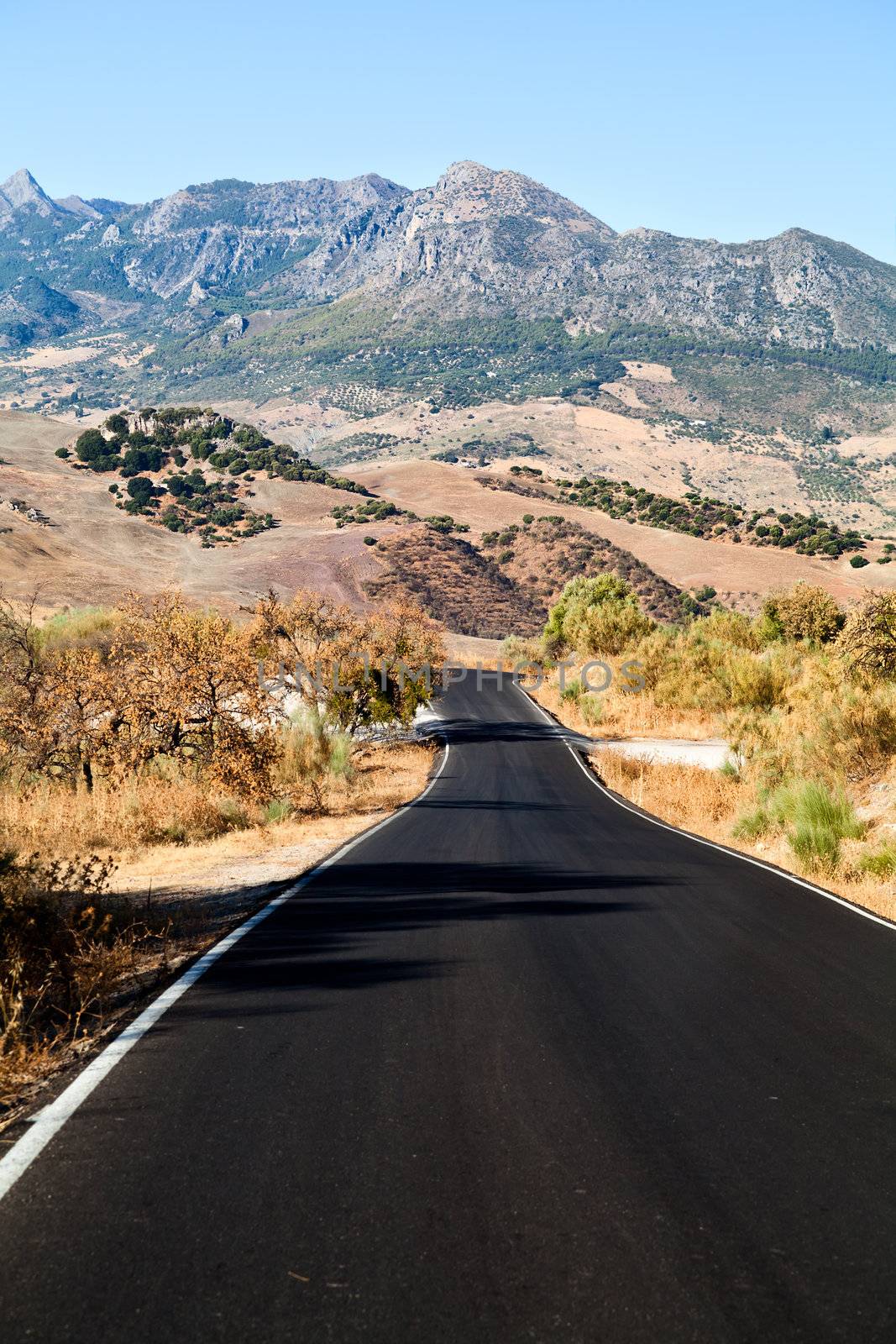 asphalt road to  mountains in Andalucia, Spain