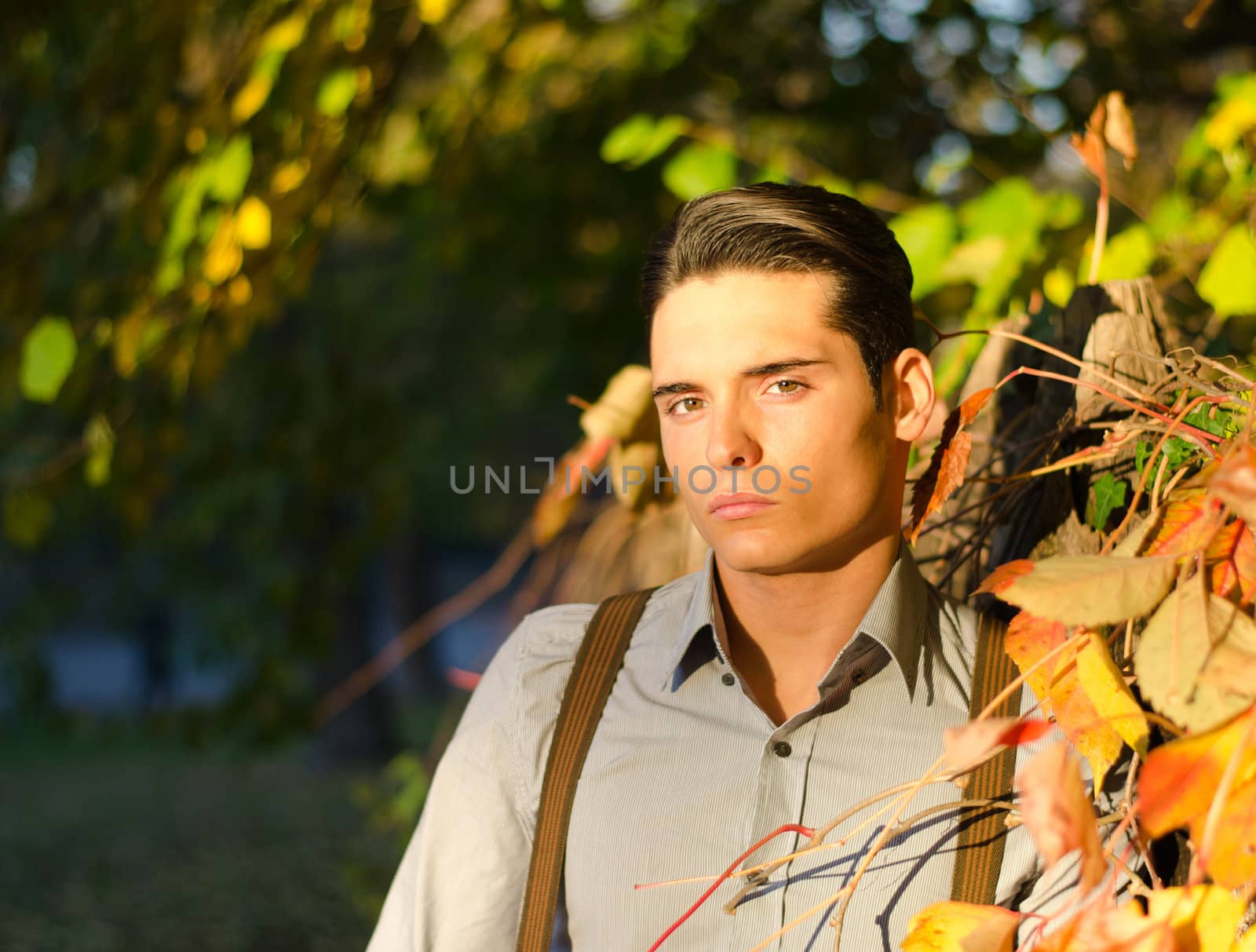 Portrait of attractive guy outdoors during fall, at sunset