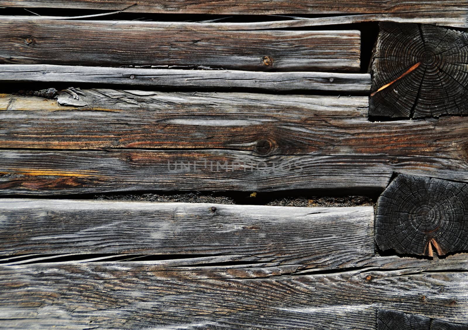 wooden wall by Ahojdoma