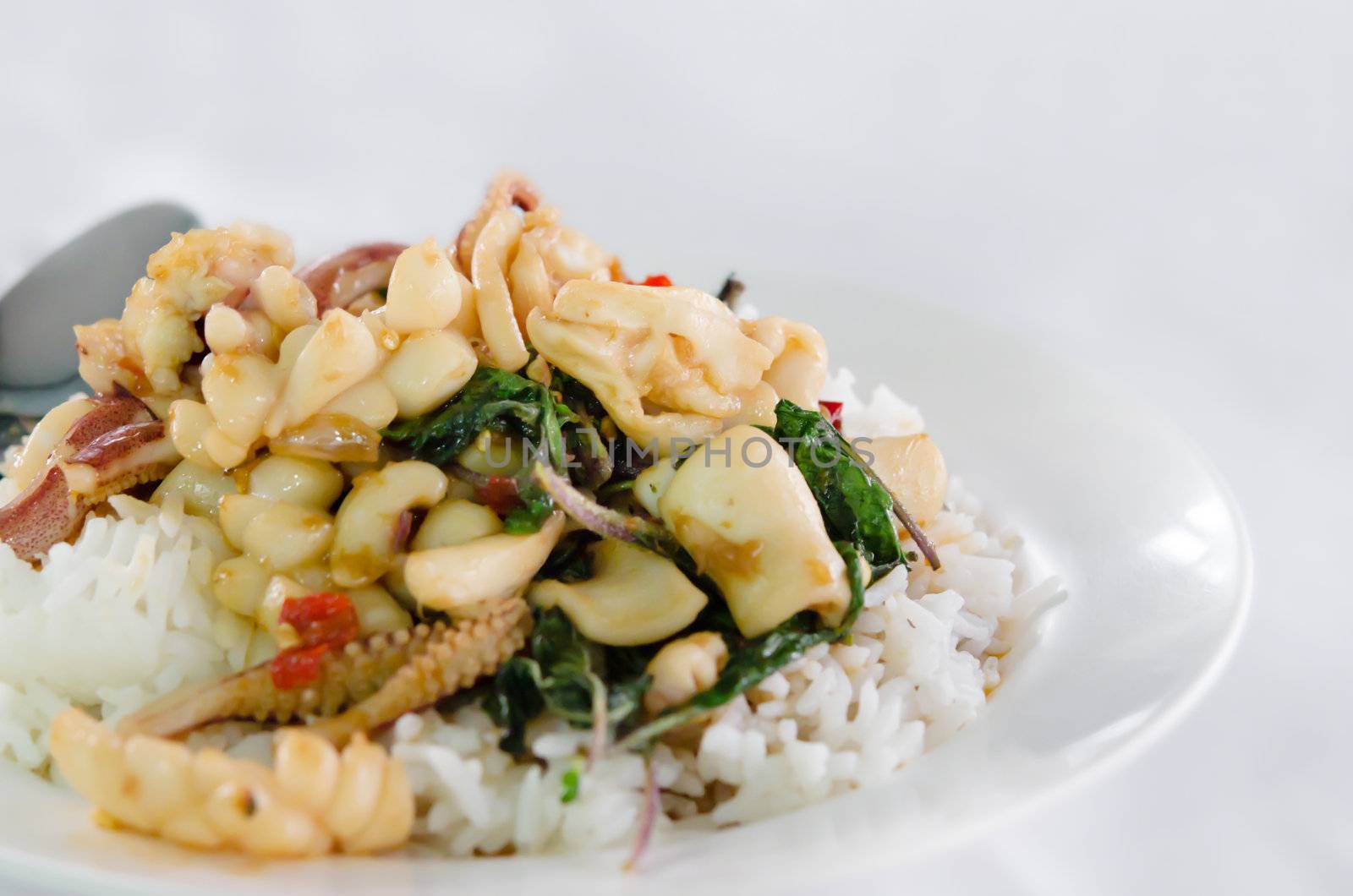 Rice and octopus  fried with chilli pepper and sweet basil