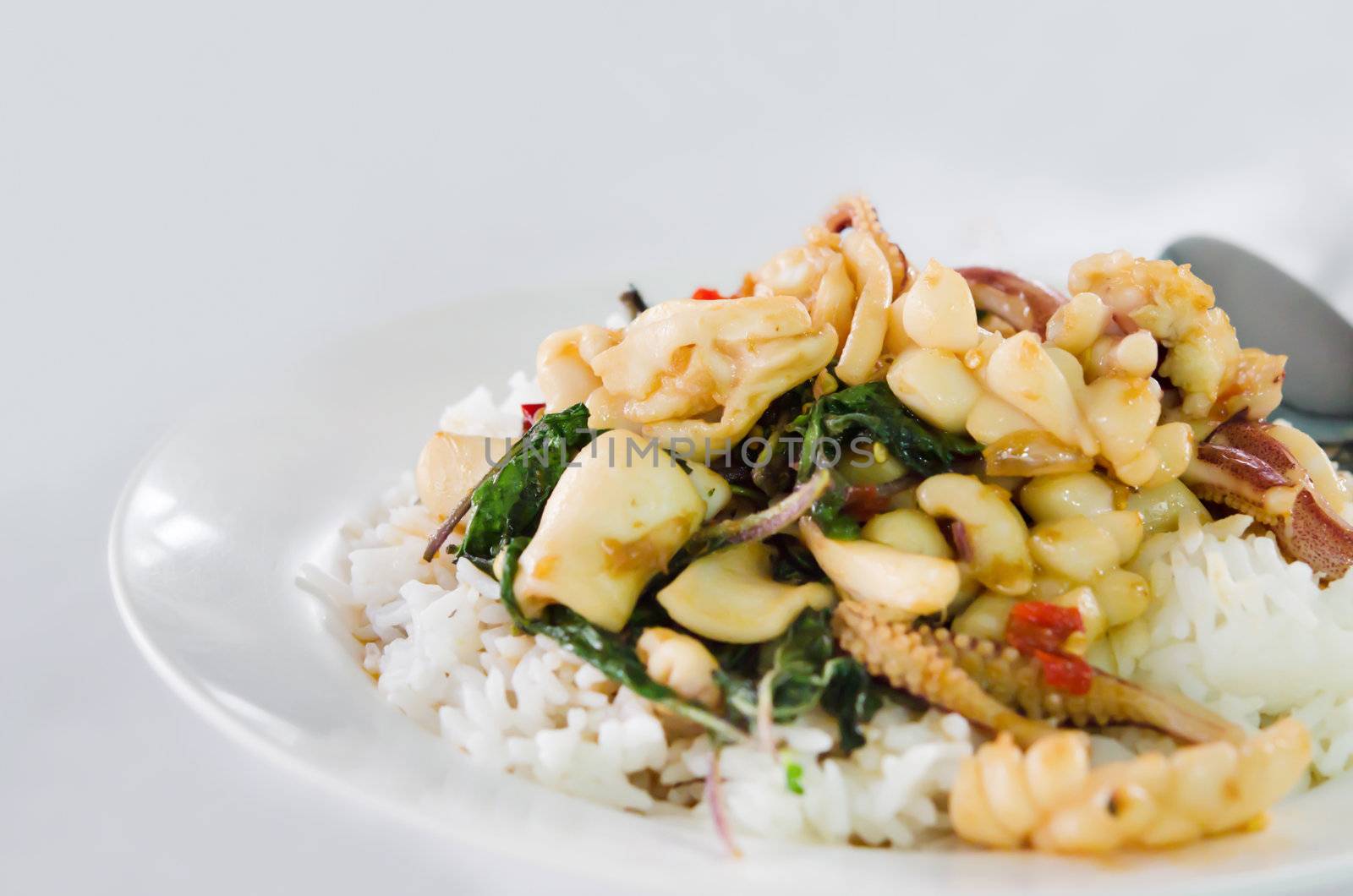 Rice and aquids  fried with chilli pepper and sweet basil